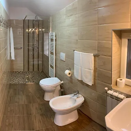 Guest house Pensiunea Eladi