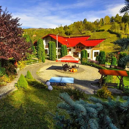 Pensiunea Eladi 4* Borsa (Maramures)
