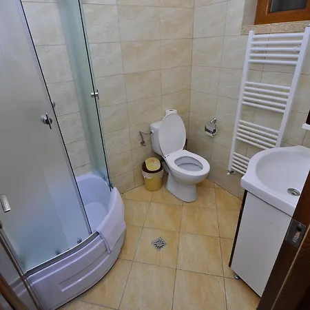 Guest house Pensiunea Eladi 4*