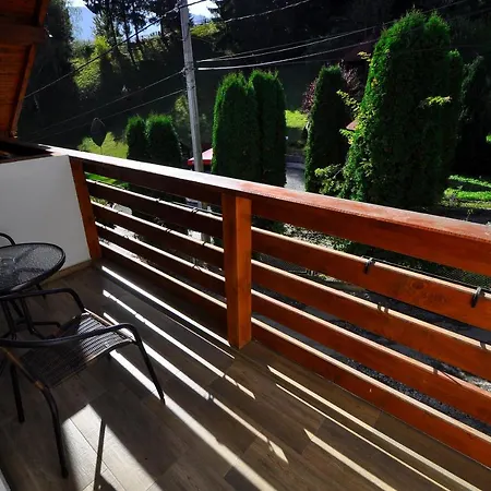 Pensiunea Eladi Guest house 4*