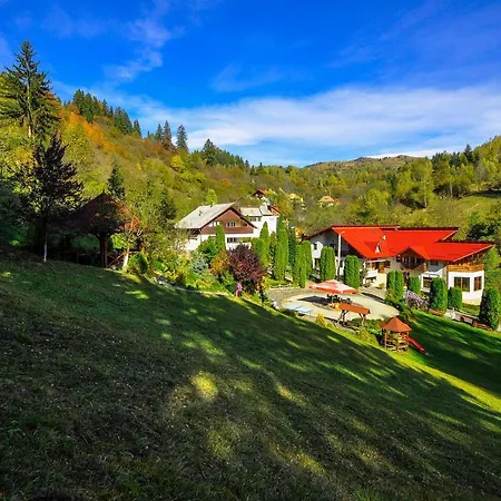 Pensiunea Eladi Guest house 4*