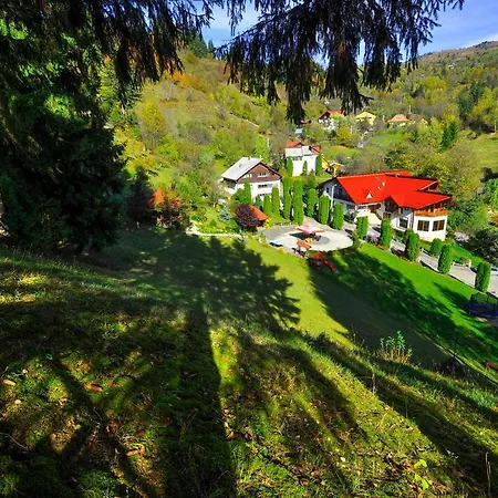 Pensiunea Eladi 4*