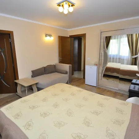 Guest house Pensiunea Eladi 4*